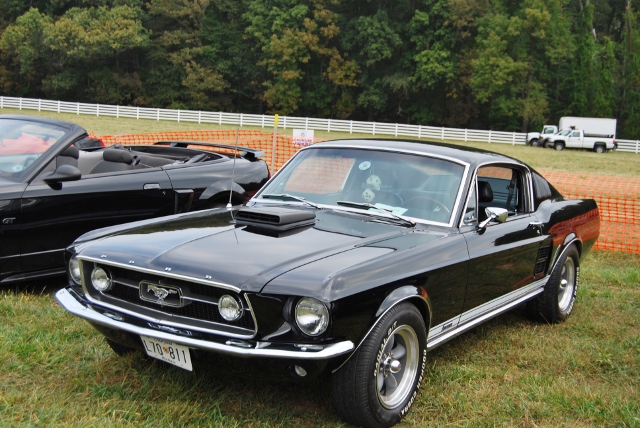 DSC_0349 (640x428).jpg