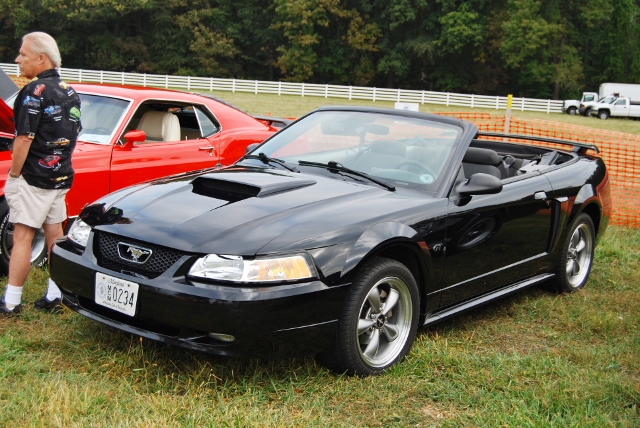 DSC_0348 (640x428).jpg