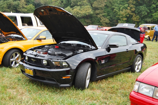 DSC_0347 (640x428).jpg