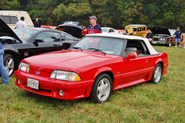 DSC_0346 (640x428).jpg