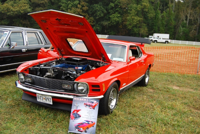DSC_0343 (640x428).jpg