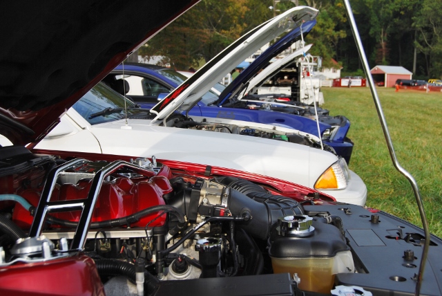 DSC_0336 (640x428).jpg