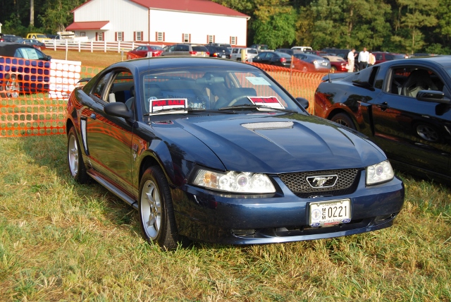 DSC_0330 (640x428).jpg