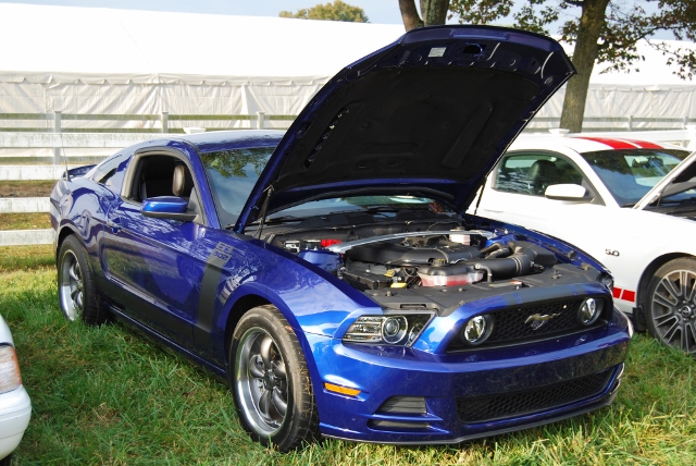 DSC_0329 (640x428).jpg
