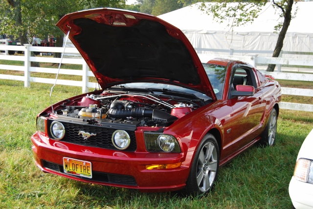 DSC_0326 (640x428).jpg
