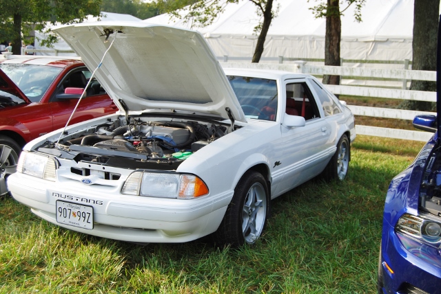 DSC_0325 (640x428).jpg