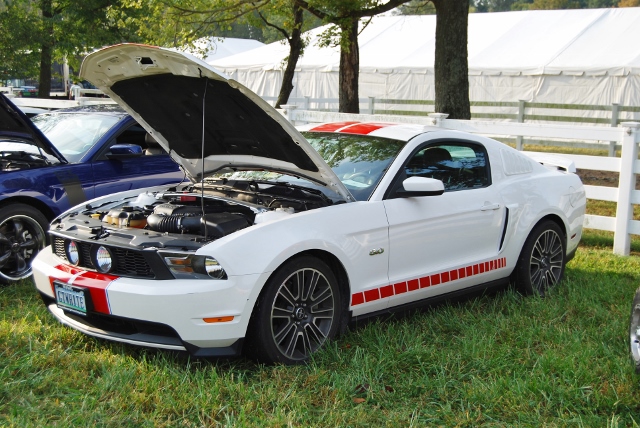 DSC_0324 (640x428).jpg