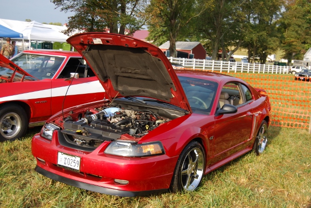 DSC_0322 (640x428).jpg