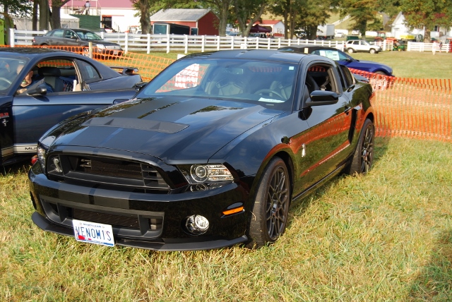 DSC_0320 (640x428).jpg