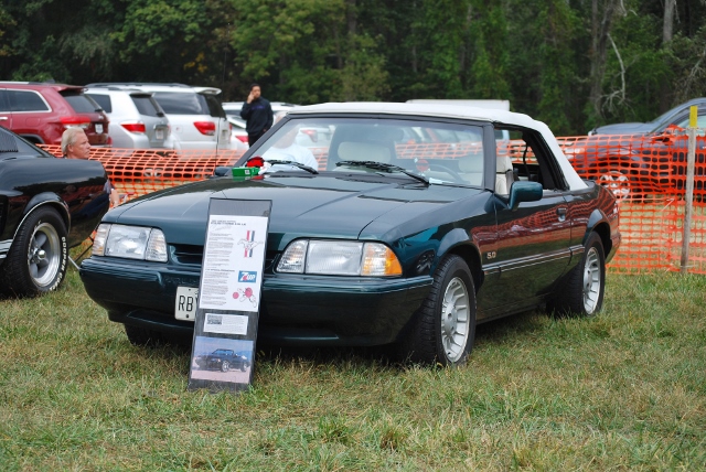 DSC_0378 (640x428).jpg