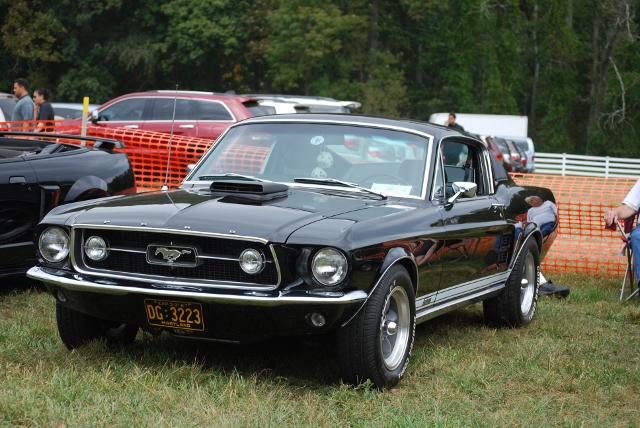 DSC_0377 (640x428).jpg