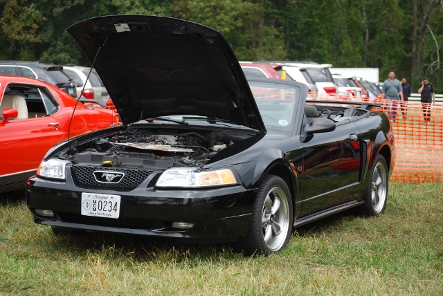 DSC_0376 (640x428).jpg