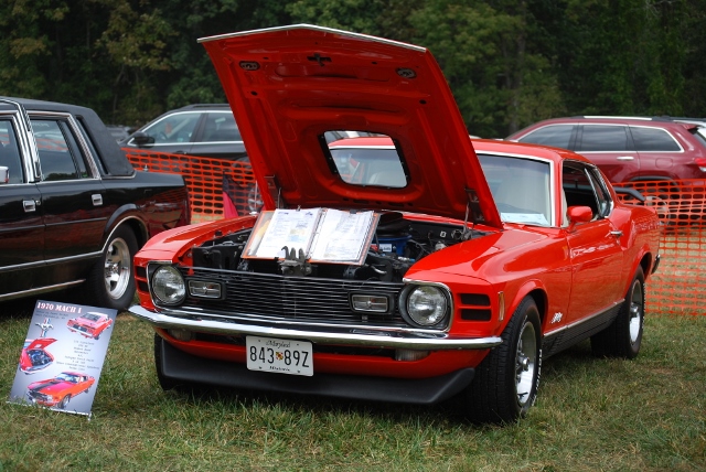 DSC_0375 (640x428).jpg
