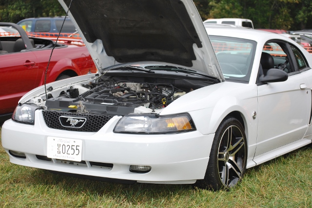 DSC_0372 (640x428).jpg