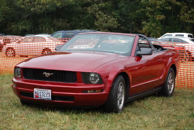 DSC_0371 (640x428).jpg