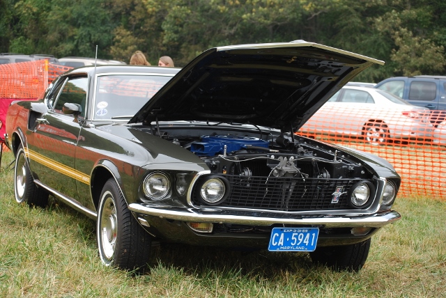 DSC_0370 (640x428).jpg