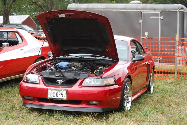 DSC_0368 (640x428).jpg