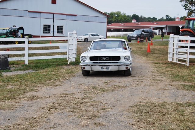 DSC_0357 (640x428).jpg