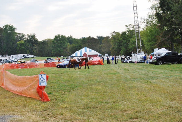 DSC_0355 (640x428).jpg