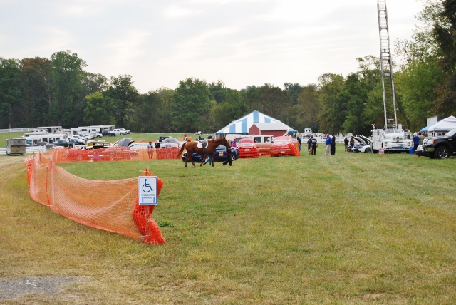 DSC_0354 (640x428).jpg