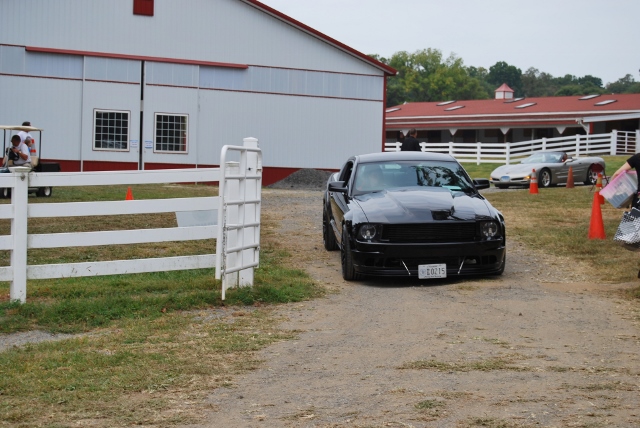 DSC_0353 (640x428).jpg
