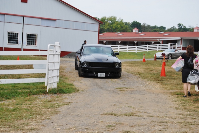 DSC_0352 (640x428).jpg