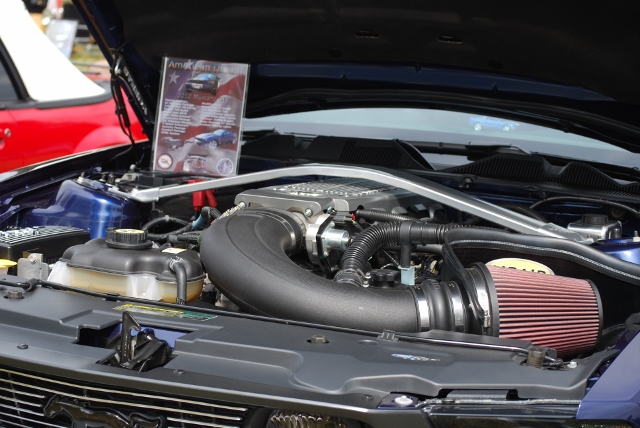 DSC_0404 (640x428).jpg