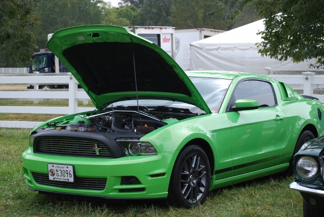 DSC_0403 (640x428).jpg