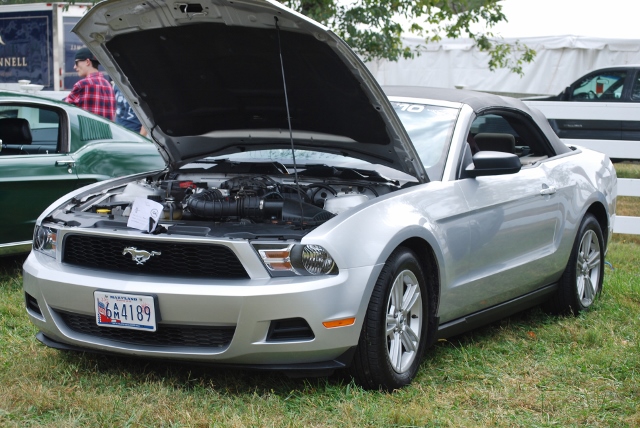 DSC_0401 (640x428).jpg