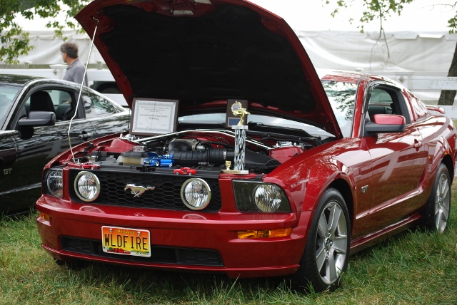 DSC_0399 (640x428).jpg