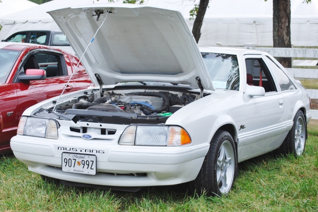 DSC_0398 (640x428).jpg