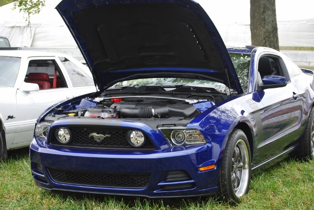 DSC_0397 (640x428).jpg