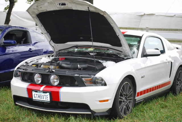 DSC_0396 (640x428).jpg