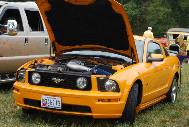DSC_0394 (640x428).jpg