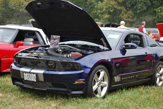 DSC_0391 (640x428).jpg