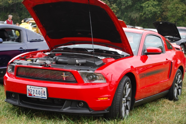 DSC_0390 (640x428).jpg