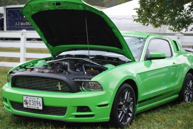 DSC_0389 (640x428).jpg