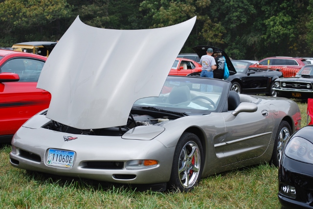 DSC_0388 (640x428).jpg