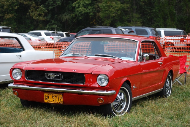DSC_0381 (640x428).jpg