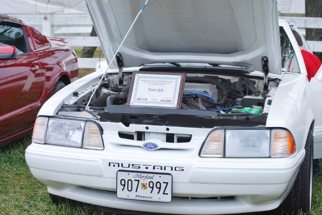 DSC_0477 (640x428).jpg