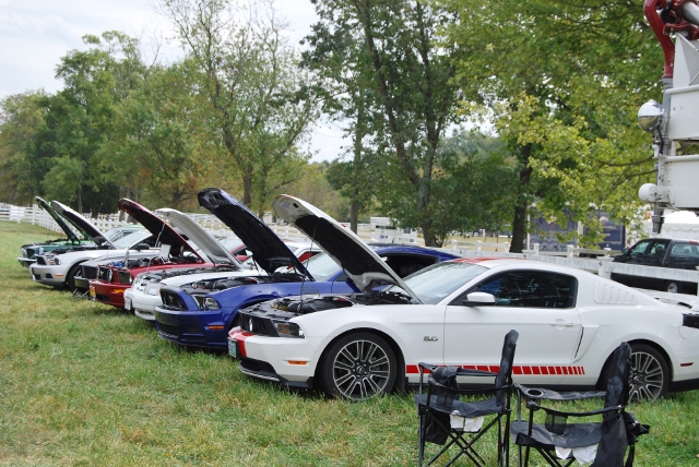 DSC_0411 (640x428).jpg