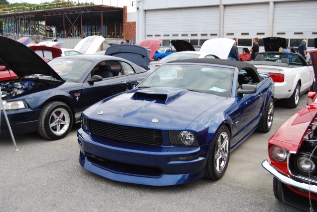 DSC_0620 (640x428).jpg