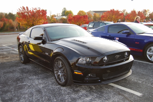 DSC_1276 (640x428).jpg