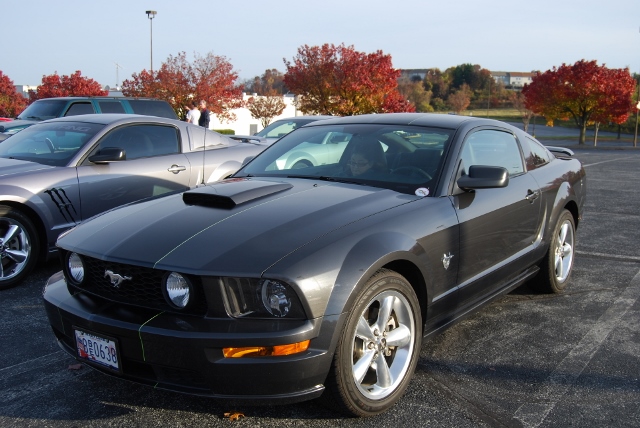 DSC_1263 (640x428).jpg
