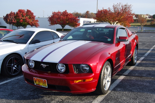 DSC_1256 (640x428).jpg