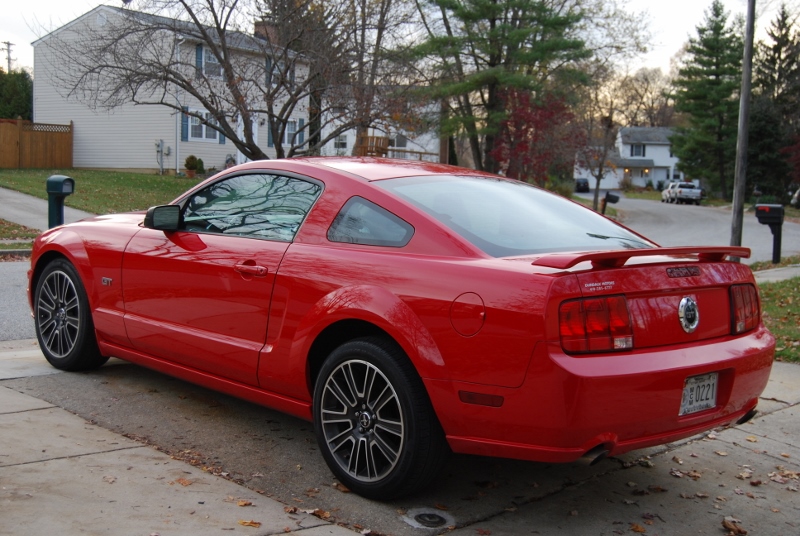 DSC_1472 (800x536).jpg