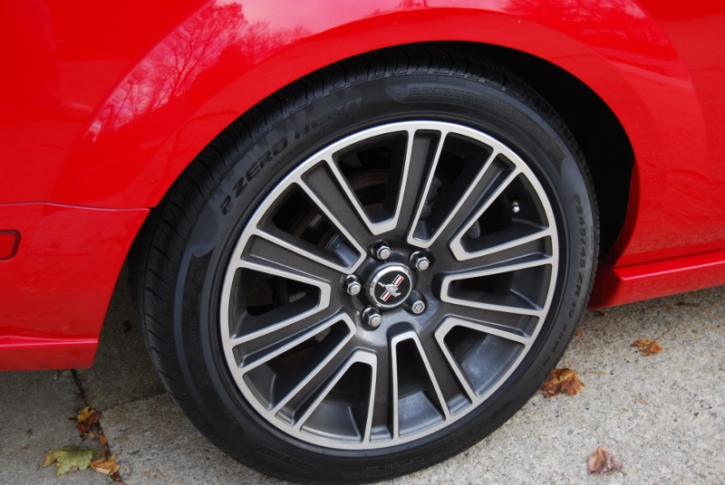 DSC_1475 (800x536).jpg