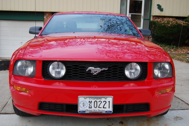 DSC_1477 (800x536).jpg