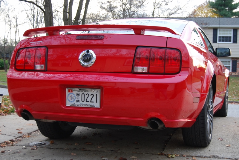 DSC_1494 (800x536).jpg