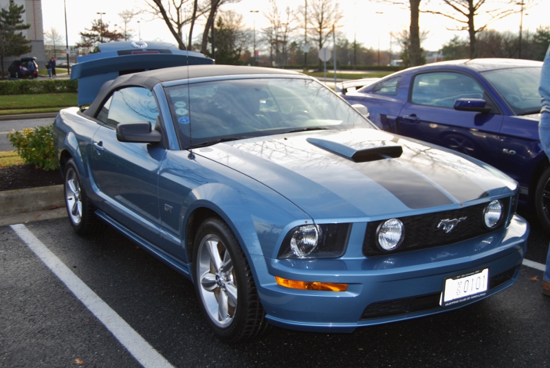 DSC_1575 (800x536).jpg